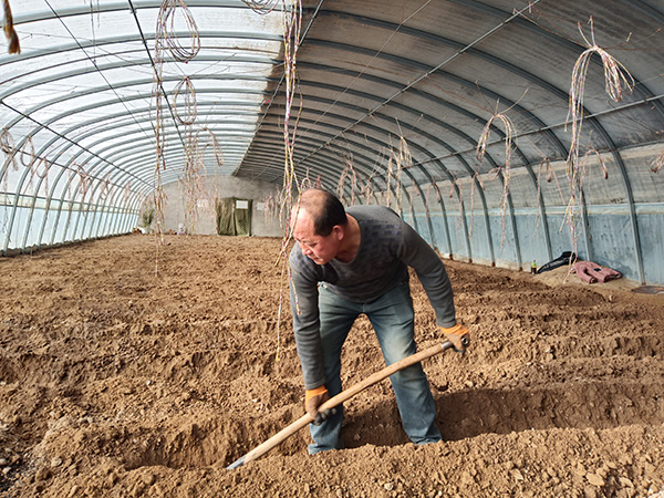 敦煌市郭家堡镇：人勤春来早 春耕备耕忙