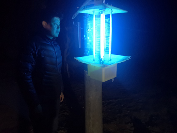 敦煌市郭家堡镇：做好黑光灯架设工作 让害虫有来无回
