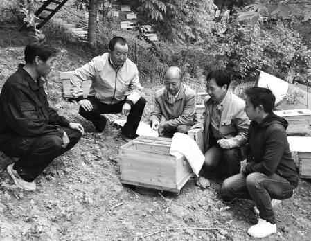 【图片新闻】省科技厅驻康县三河坝镇公家湾村帮扶队给群...